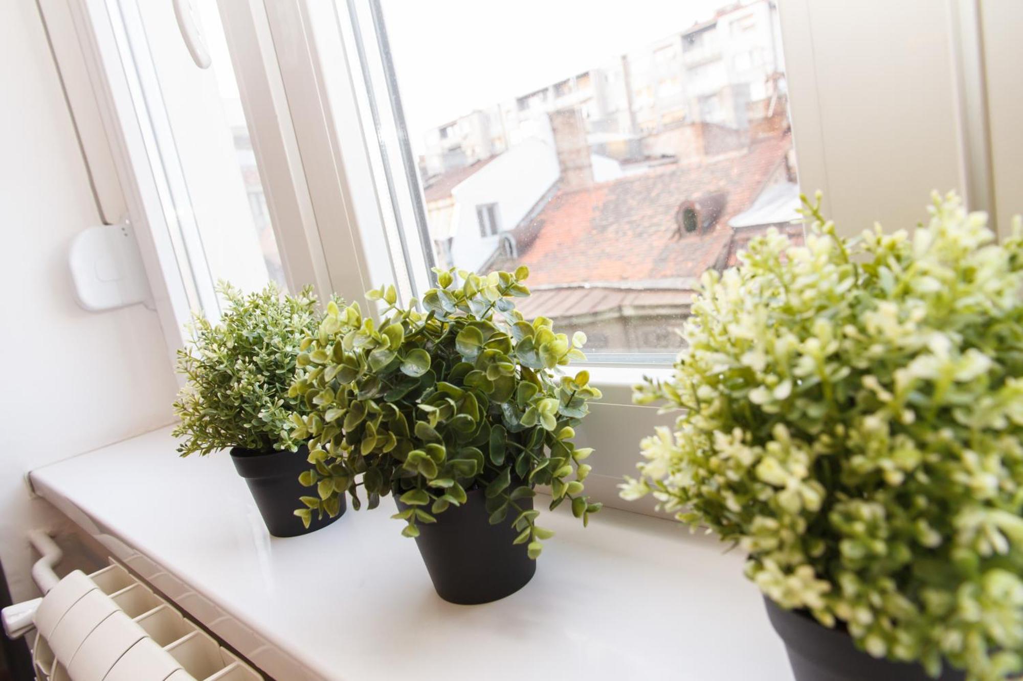 City Break Apartments - City Zen Beograd Eksteriør bilde